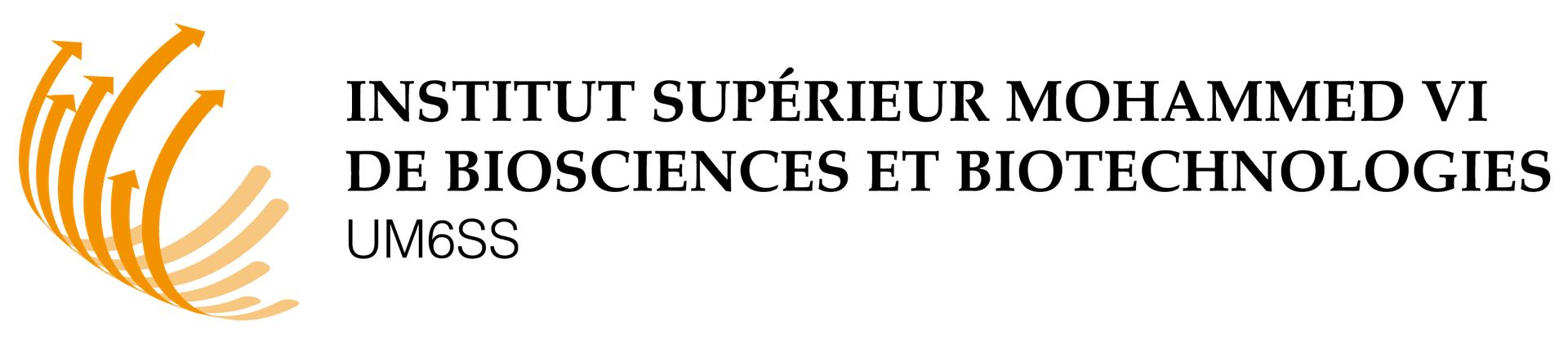 ism6bb