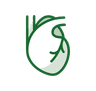 pole_cardiovasculaire_thoracique