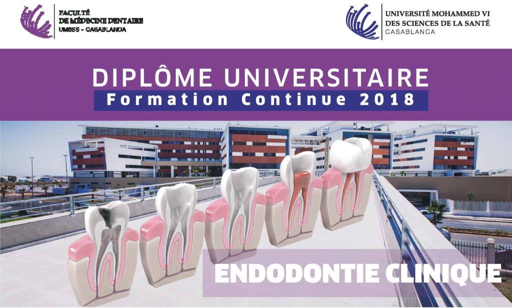 Lancement du Diplôme Universitaire en Endodontie Clinique