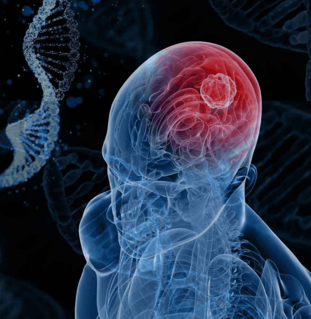 Première publication de l’UM6SS dans la revue de l’Académie Hassan II des Sciences et Techniques