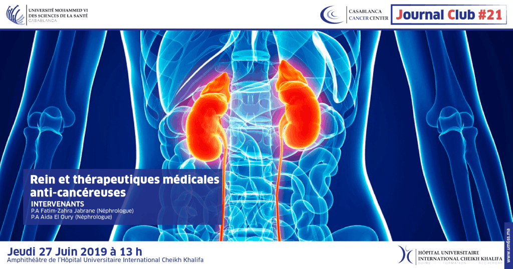 Journal club #21 : Rein et thérapeutiques médicales anti-cancéreuses